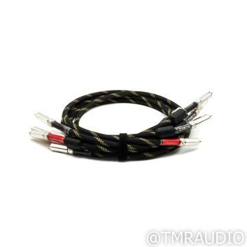 TimePortal Cables Silver Analog RCA Cables; 1m Intercon...