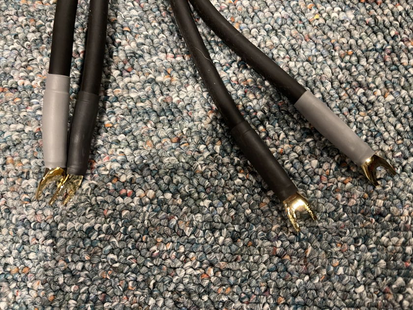 Shunyata Research Alpha V2 Speaker Cables