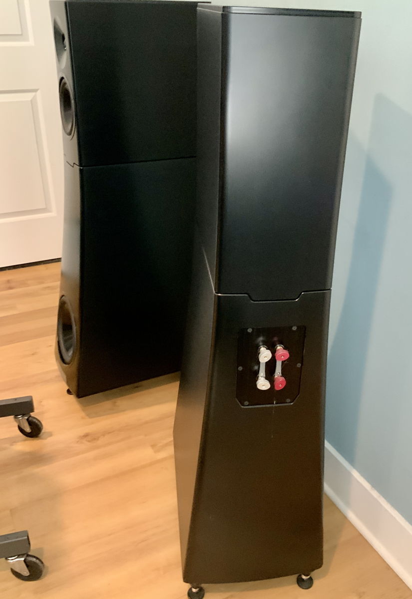 BEST OFFER - DEMO YG Acoustics Hailey 2.2 12