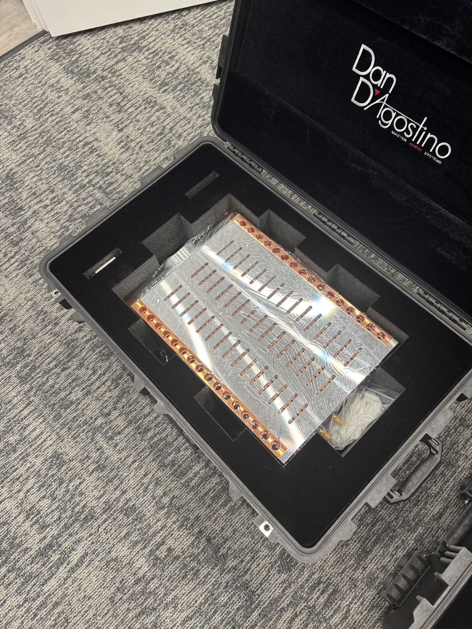 Dan D'Agostino Momentum M400 mono blocks