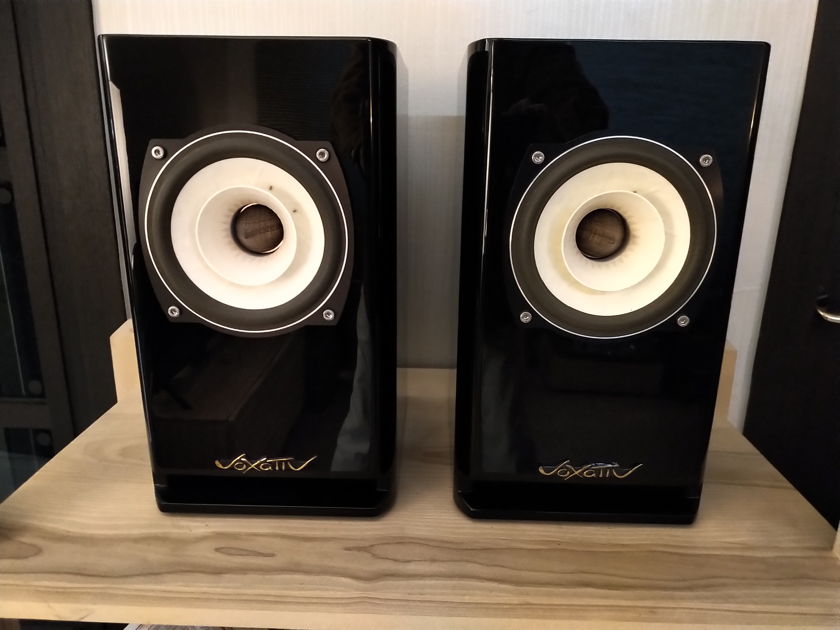Voxativ Hagen - single driver monitor speakers w/2 upgraded pairs of wooden phase plugs