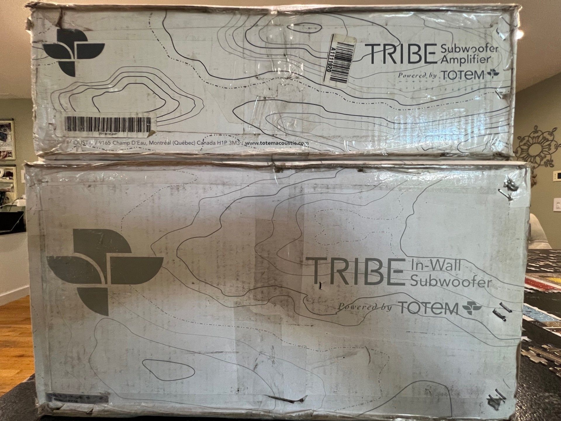 Totem Acoustic Tribe In-Wall Subwoofer & Totem Tribe 50... 2