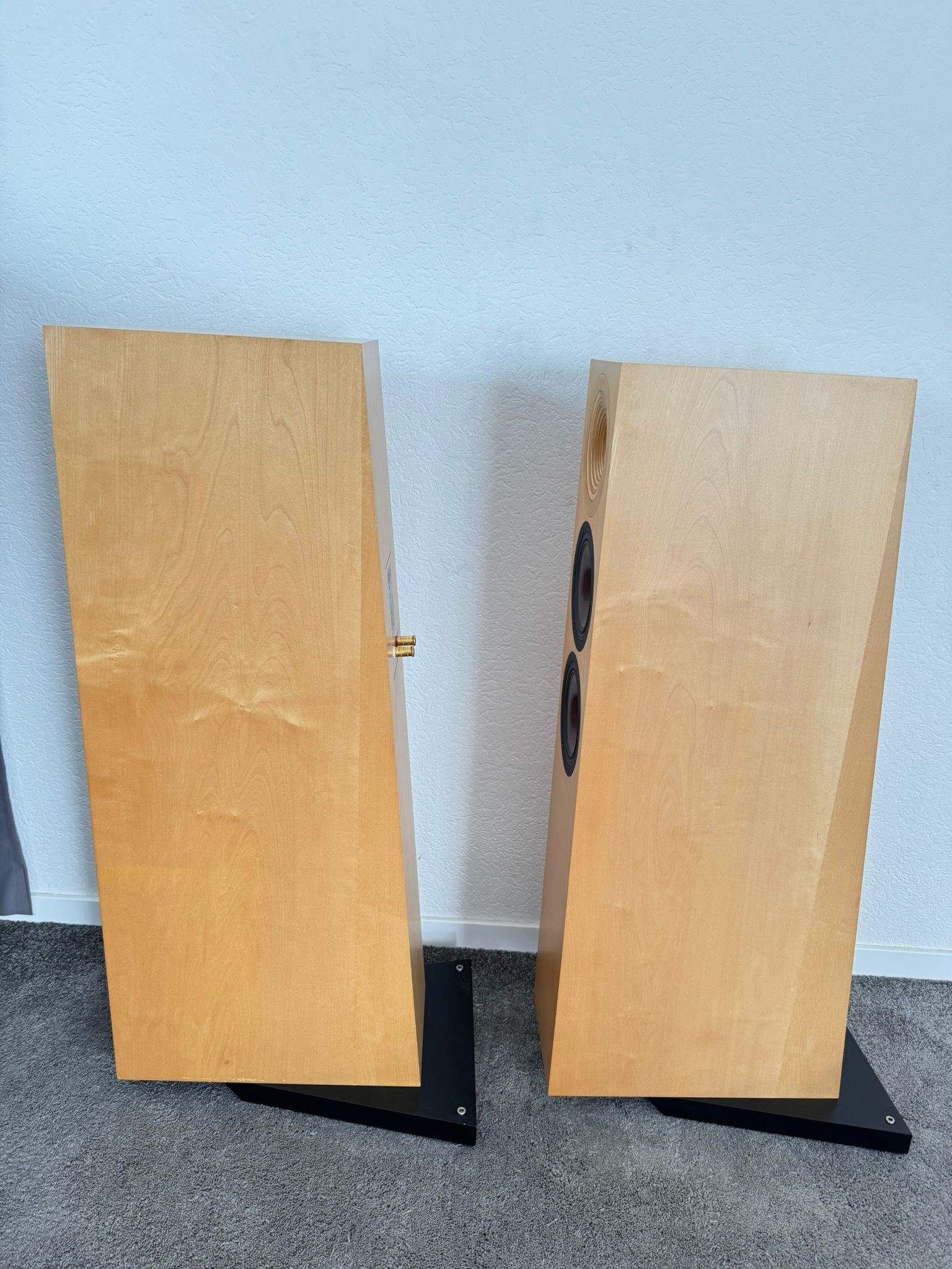 Odeon Tosca S speakers in maple 7