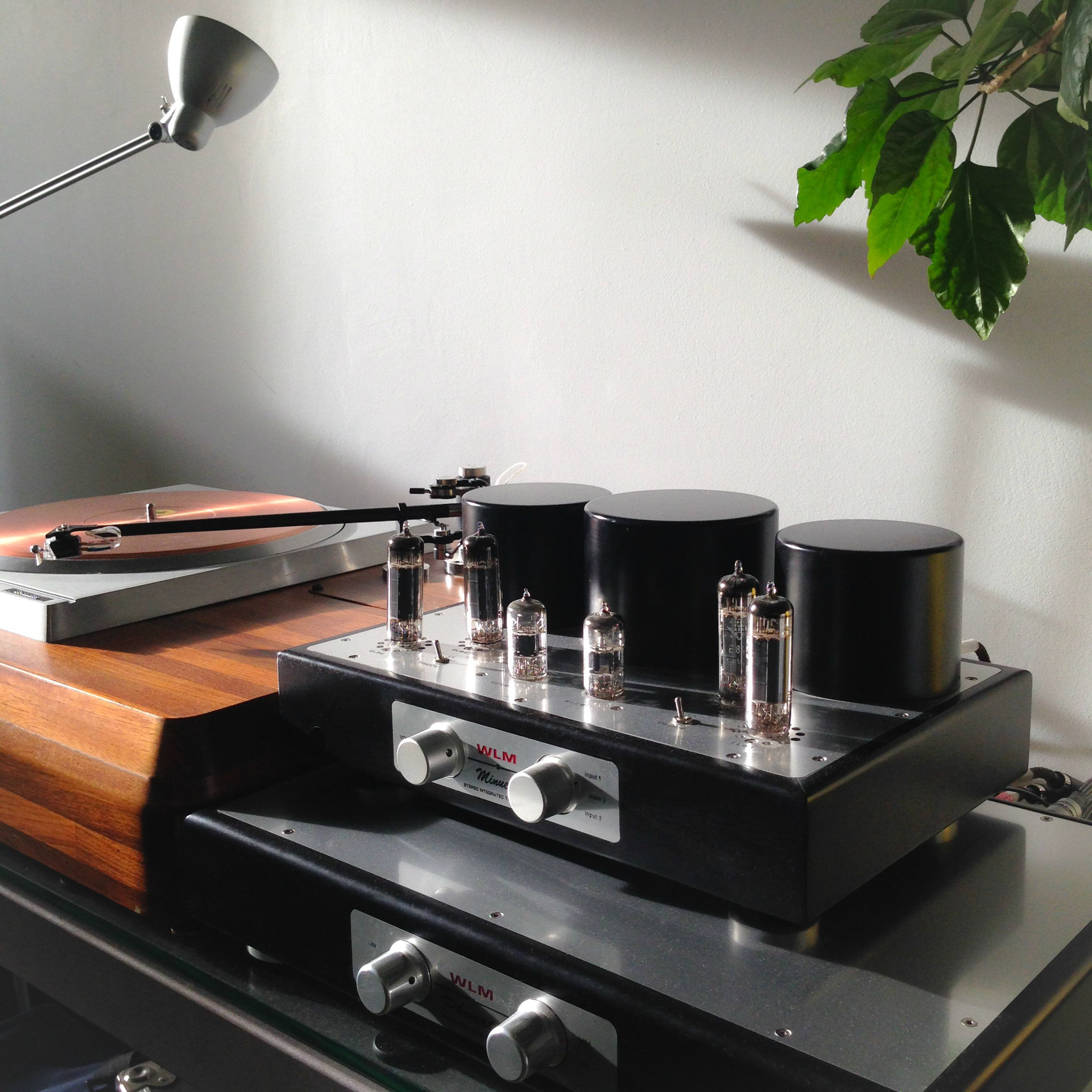 WLM Minueta and Phonata, Reed 3p tonearm w/Stanton 980LZS, Technics SP-10mkII (teak plinth), Micro CU-500 mat.