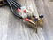 HMS Fortissimo Top Match Line speaker cables biwired 3,... 3