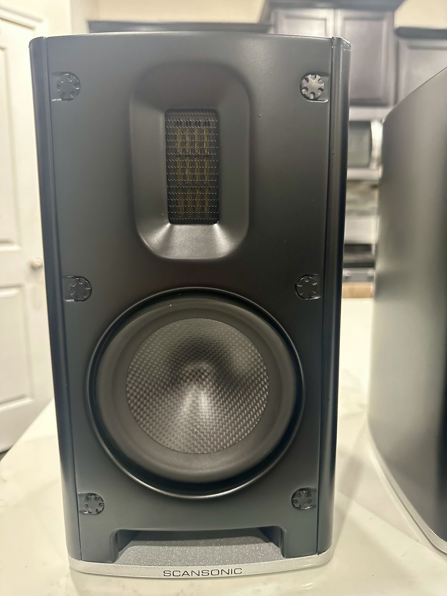 Scansonic  MB-1 bookshelf speakers with raidho stands 2