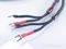 AudioQuest CV-6 Bi-Wire Speaker Cables; Type 6; 10ft Pa... 3
