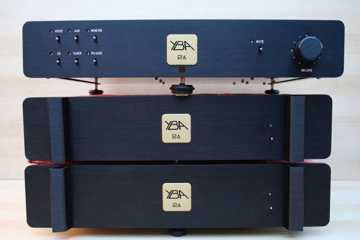 RARE YBA Delta-2 HCDT MONOBLOCK Amplifiers!