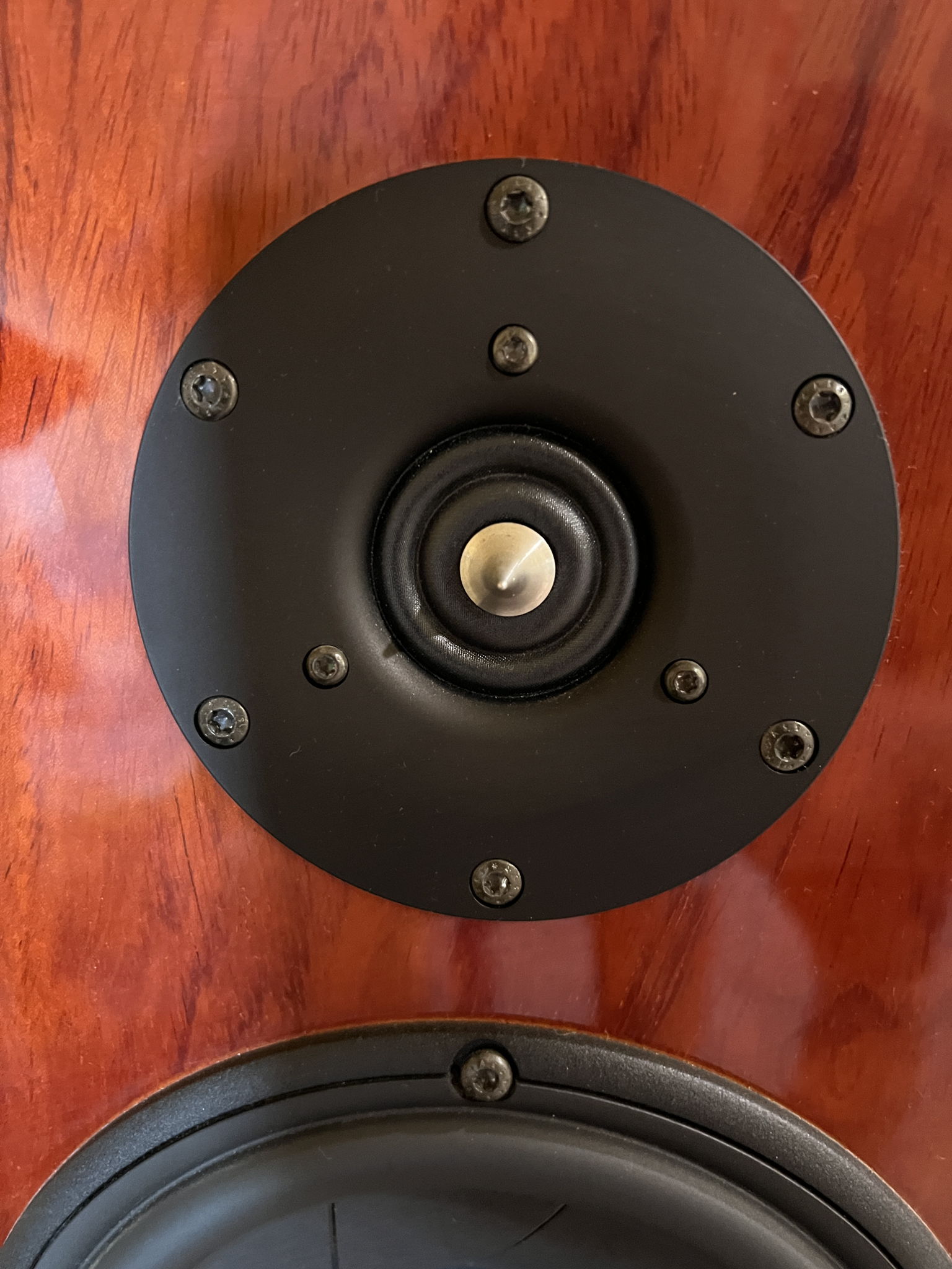 GamuT Audio L-5 Speakers 6