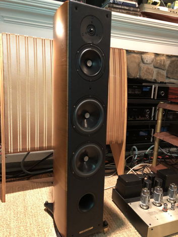 Sonus Faber Grand Piano Domus - Our Best Looking Speakers!