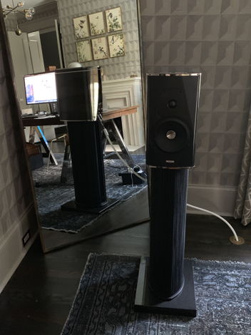 Sonus Faber Guarneri Evolution (and look at other compo...