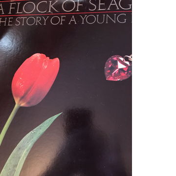 A Flock of Seagulls Mike Score - The Story of a Young H...