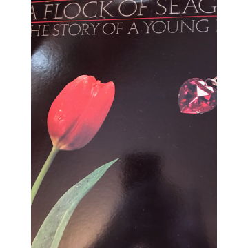 A Flock of Seagulls Mike Score - The Story of a Young H...