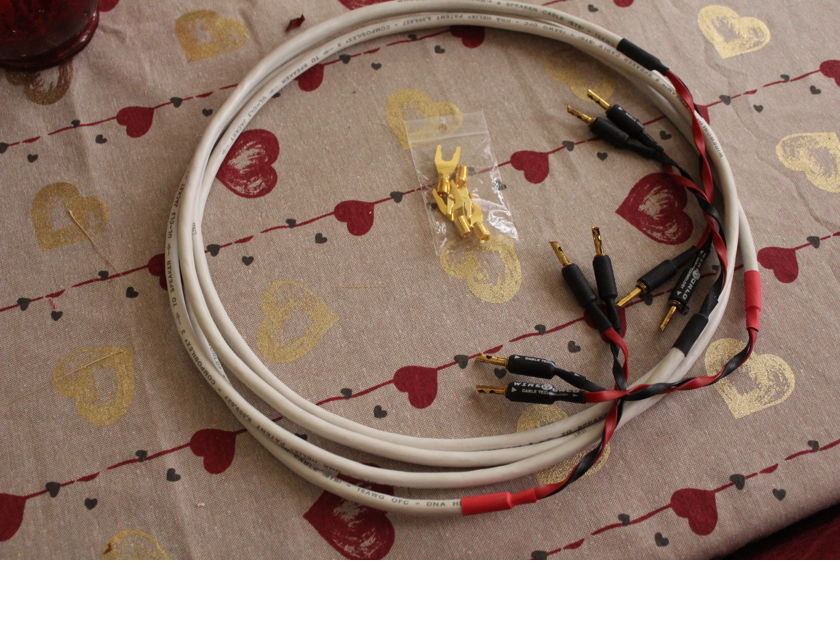 Wireworld Stream 8 Speaker Cables Pair 6.5 ft - AS NEW