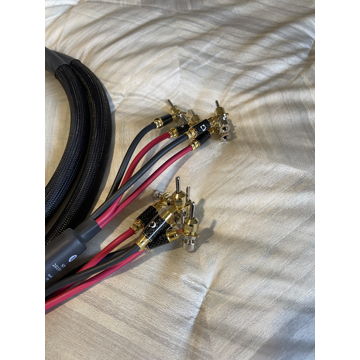 Purist Audio Design Venustas Biwire Speaker Cables