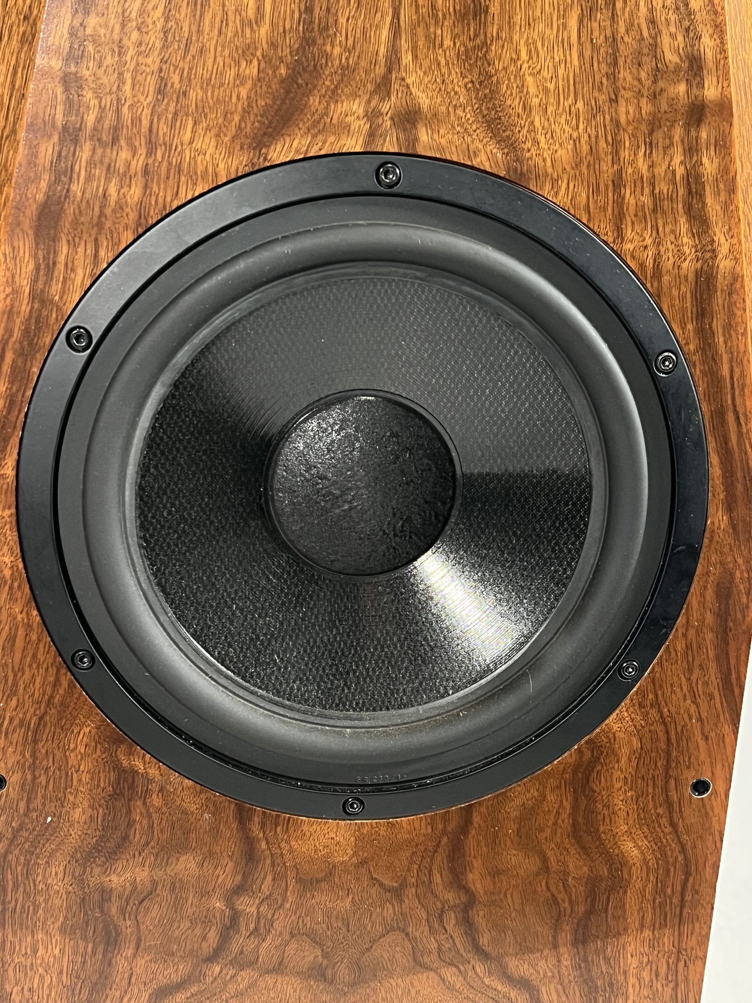 Avalon Acoustics Ascent mkII 11