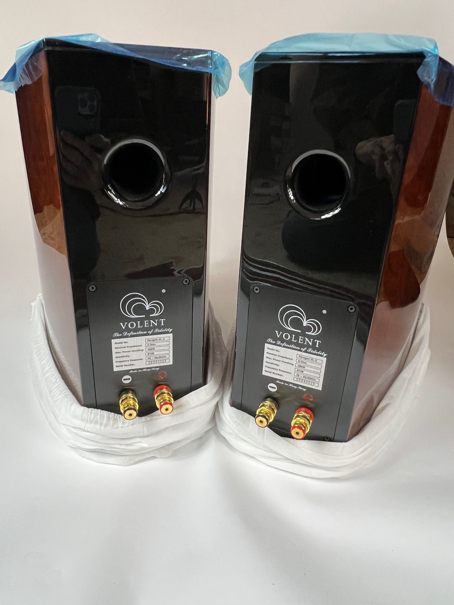 Volent Paragon VL-2 stand mount 9