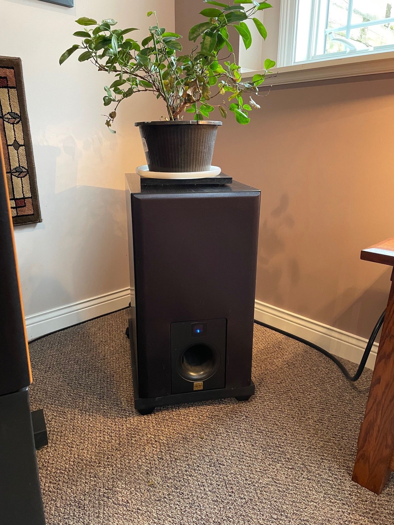 SUBWOOFER - AERIAL ACOUSTICS SW12 