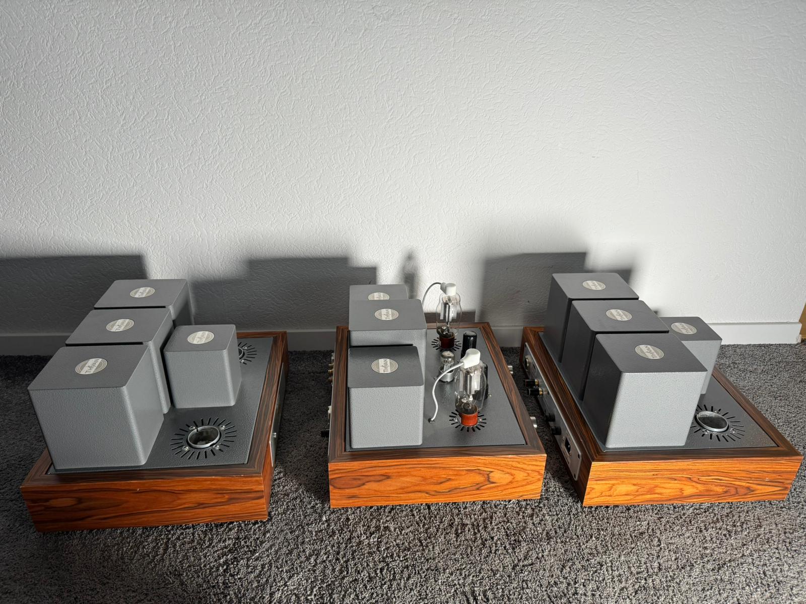 Thivan Labs Silver 845 tube integrated amplifier 10