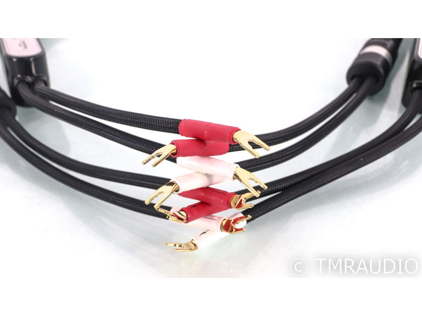 Shunyata Research Sigma v1 Speaker Cables; 2m Pair (46034)