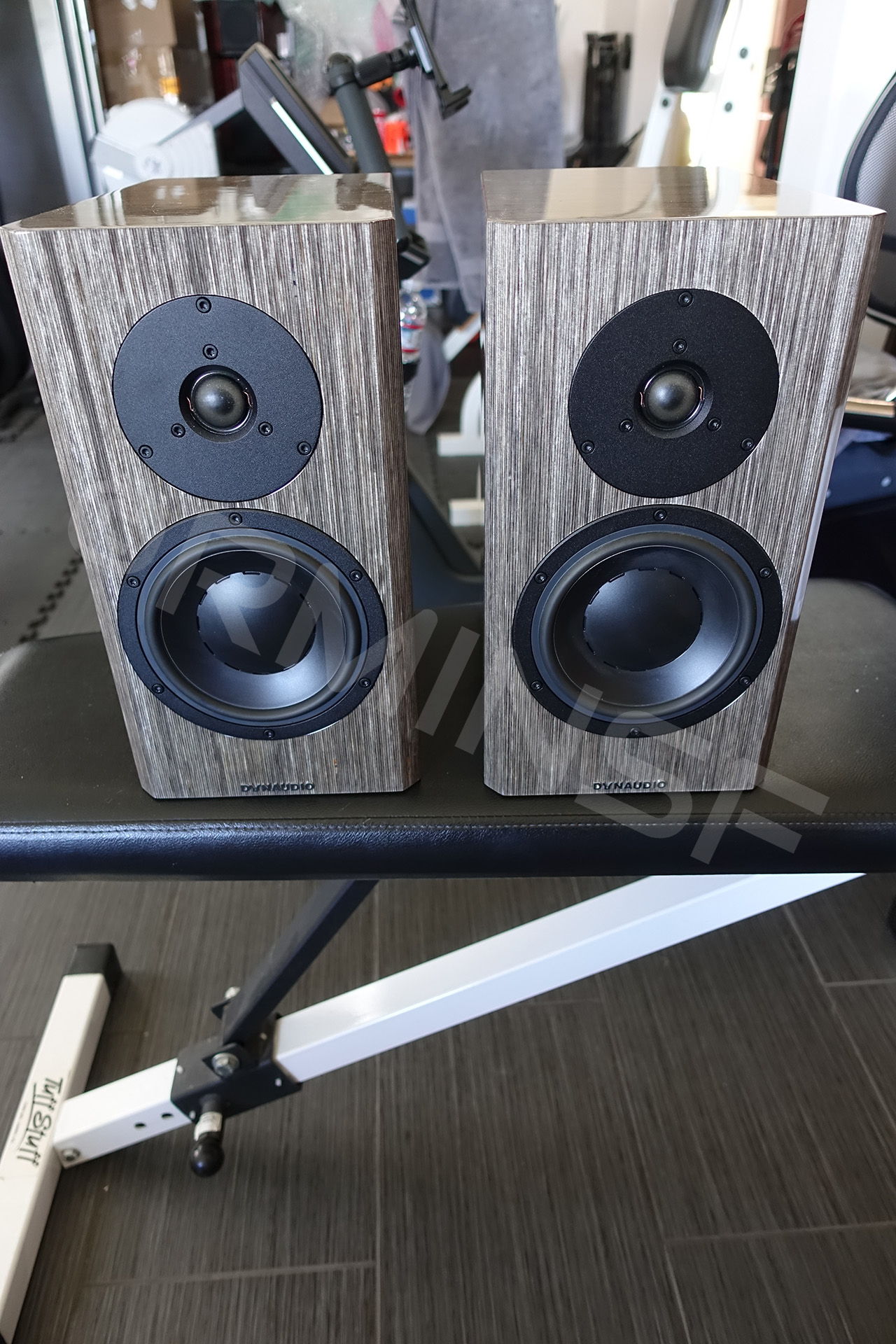 Dynaudio Special Anniversary 40 Grey Birch high Gloss 4