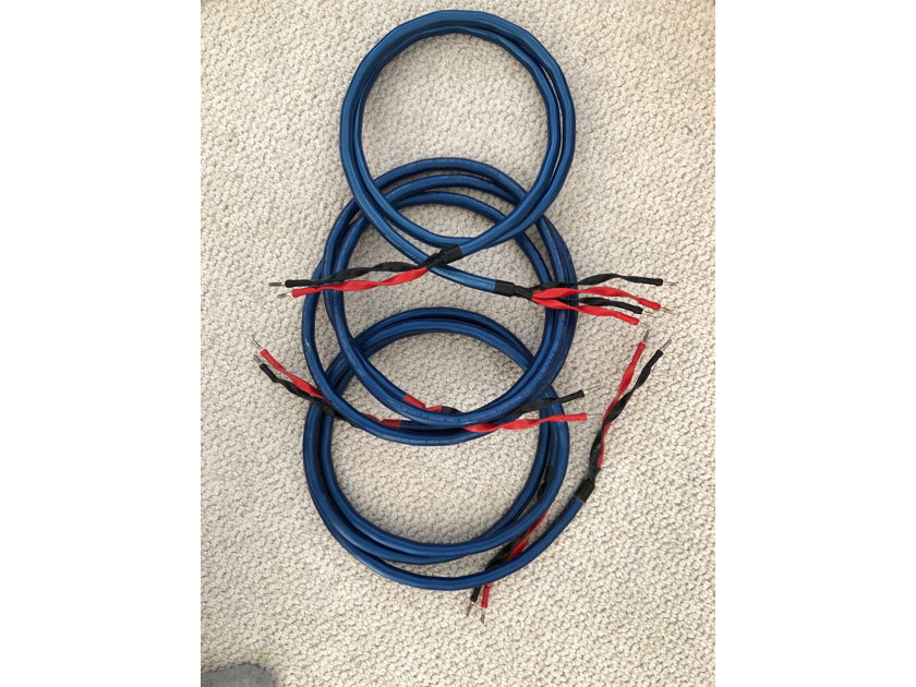 Wireworld Oasis 6 Speaker Cable - 8'