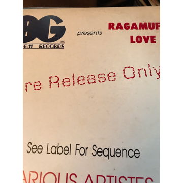 BG Presents RAGAMUFFIN LOVE