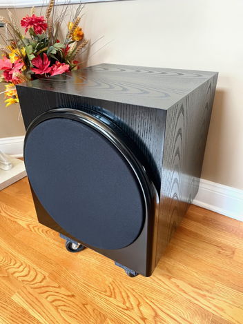 Revel B15a Subwoofer, Incredible Thunderous Bass, 1000W...