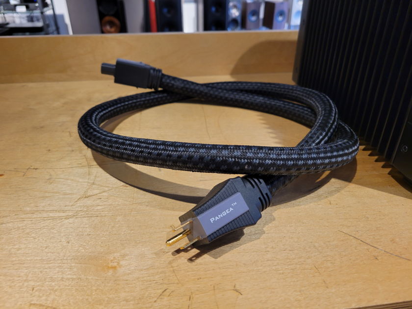 PS Audio PerfectWave Power Plant 10 - Black w/ Upgraded Pangea AC-95E Power Cable & Box