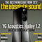 YG Acoustics Hailey - Award winning model !!! 9