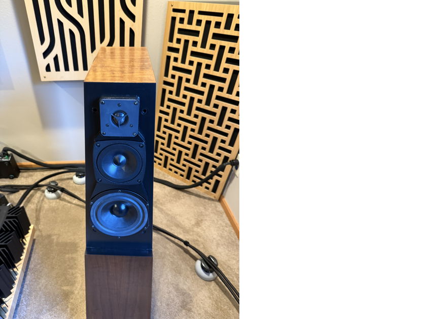 Vandersteen Quatro Wood CT