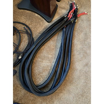 Elrod Power Systems Statement Gold Bi-Wire Speaker Cables