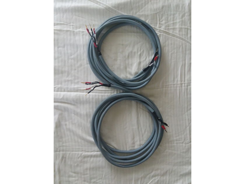 Audioquest Crystal Hyperlitz Speaker cables