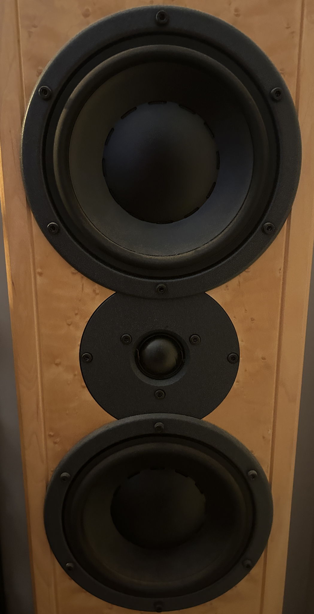 Dynaudio Contour T 2.5 3