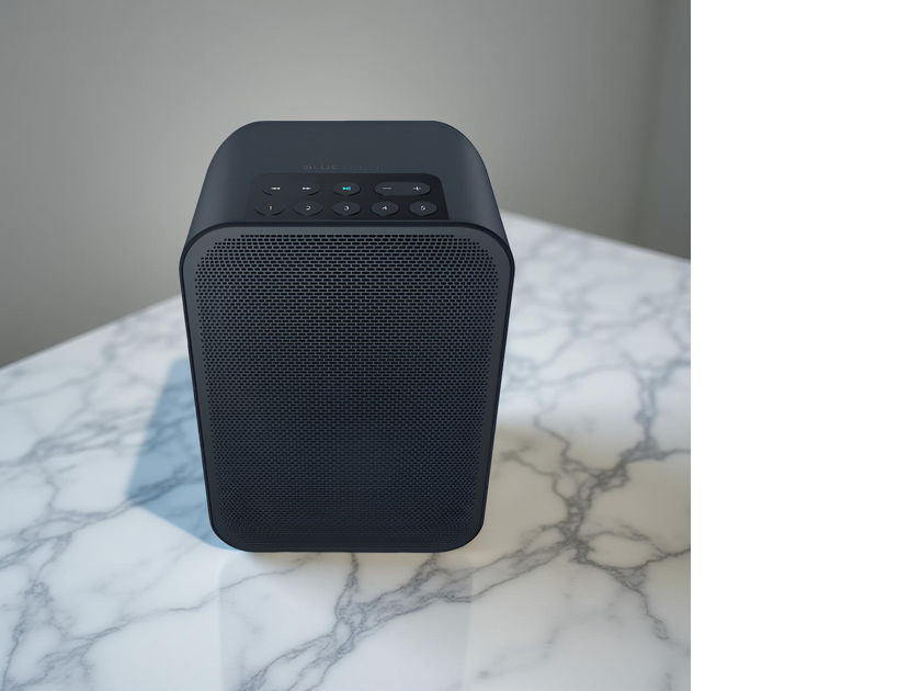 Bluesound Pulse Flex 2i Portable Wireless Streaming Speaker - Black