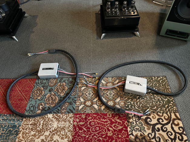 MIT Oracle Speaker Cable v3.3