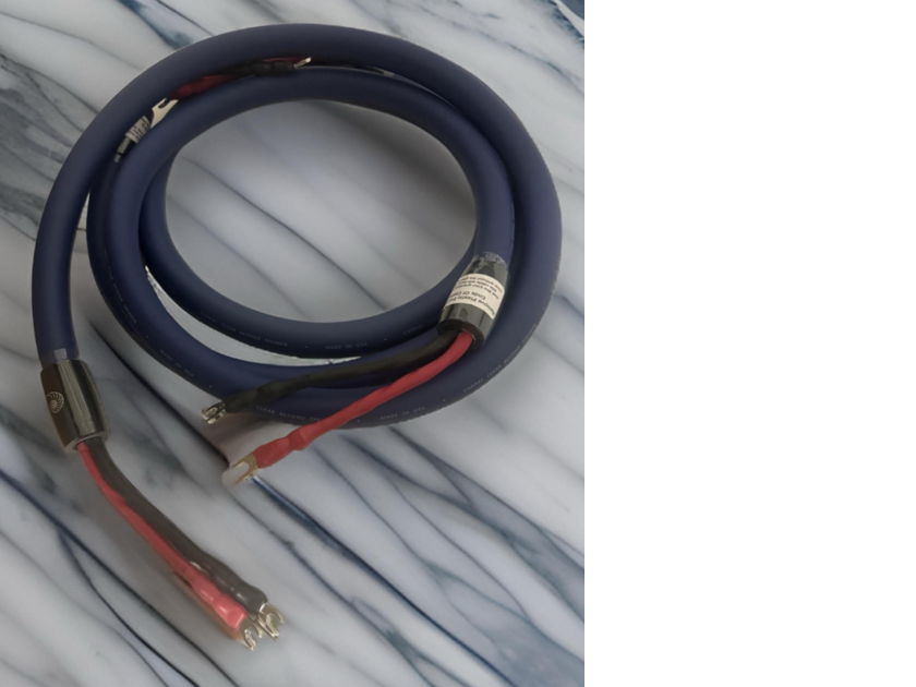 CARDAS Clear Beyond speaker cables 2M Pair