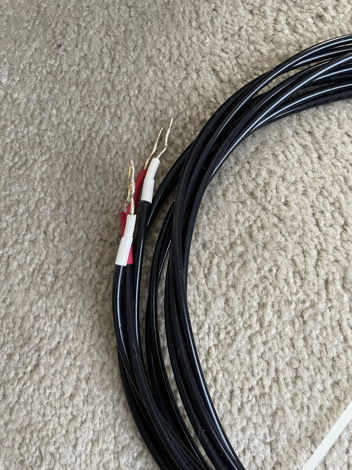 Tempo Electric 12 Big Twist Ag 6ft speaker cable bare w...