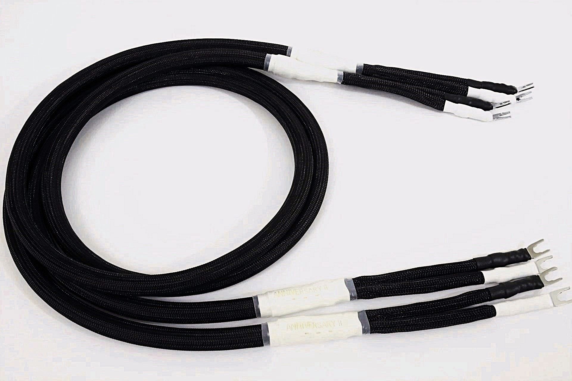 Silnote Audio Top Reviews Anniversary II Master Speaker...