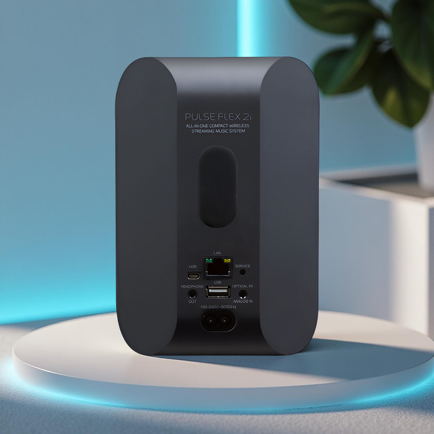 Bluesound Pulse Flex 2i Portable Wireless Streaming Spe... 7