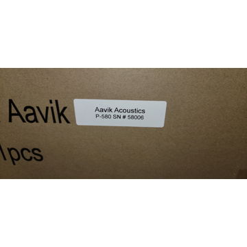 Aavik Acoustics P580 & C580 with Active Cross over