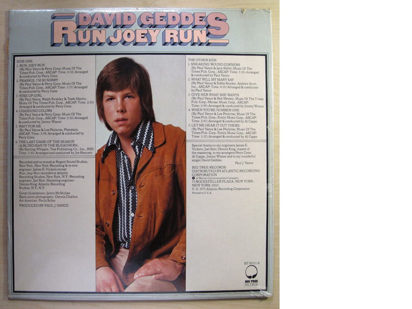 David Geddes - Run Joey Run 1975 SEALED Vinyl LP Big Tree Records BT 89511 A