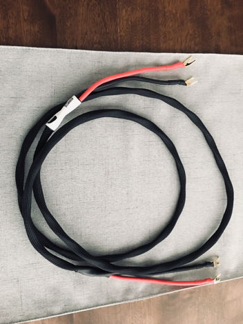 Acoustic BBQ  Speaker cables w/Duelund 12 gauge strande...