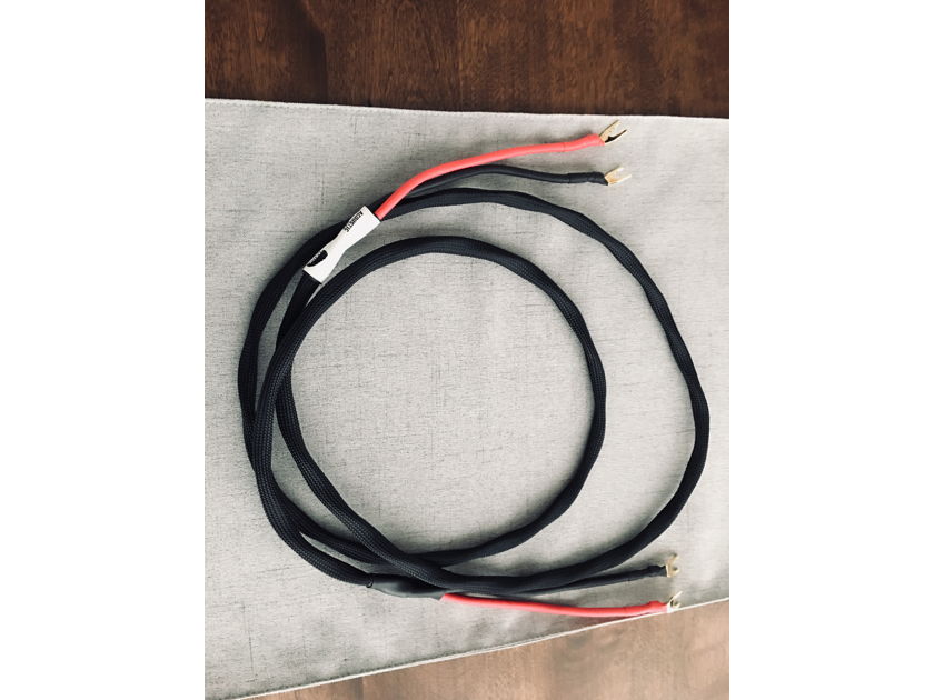 Acoustic BBQ  Speaker cables w/Duelund 12 gauge stranded copper