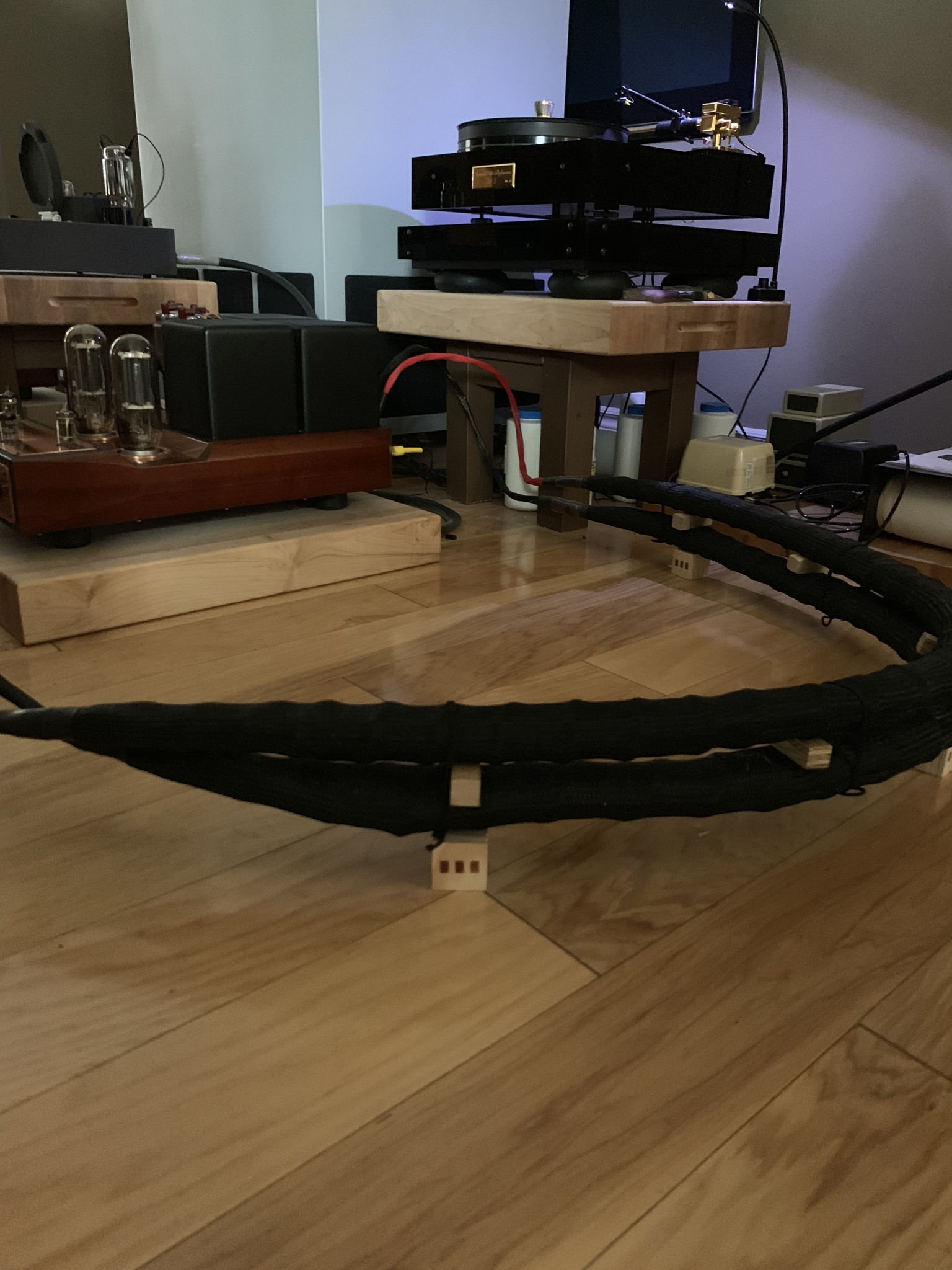 True Triode’s Horn System