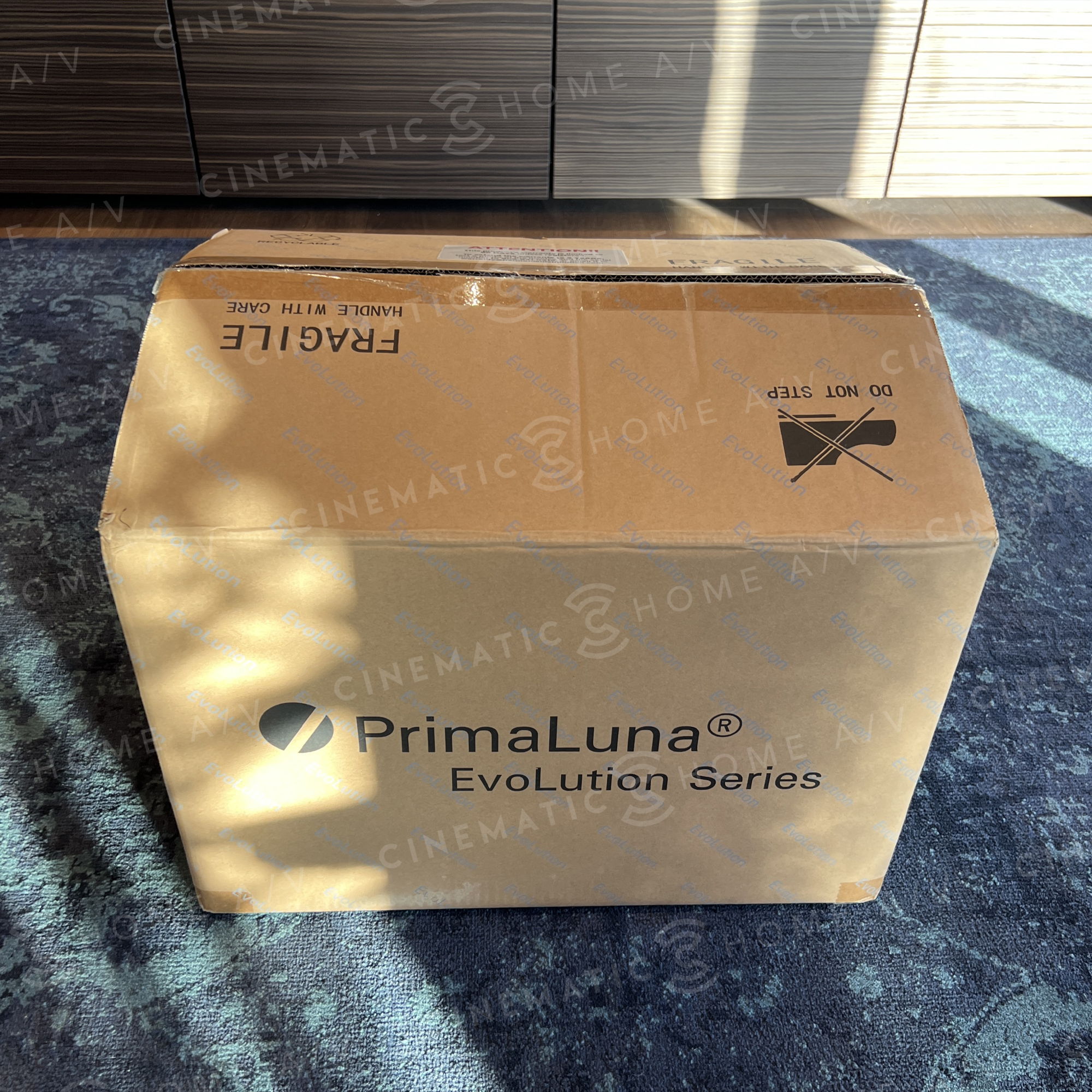 PrimaLuna EVO 100 Tube Phonostage 14