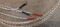 Bertram Proxima Flow Speaker Cables 2.5m/8ft - Mint Con... 4