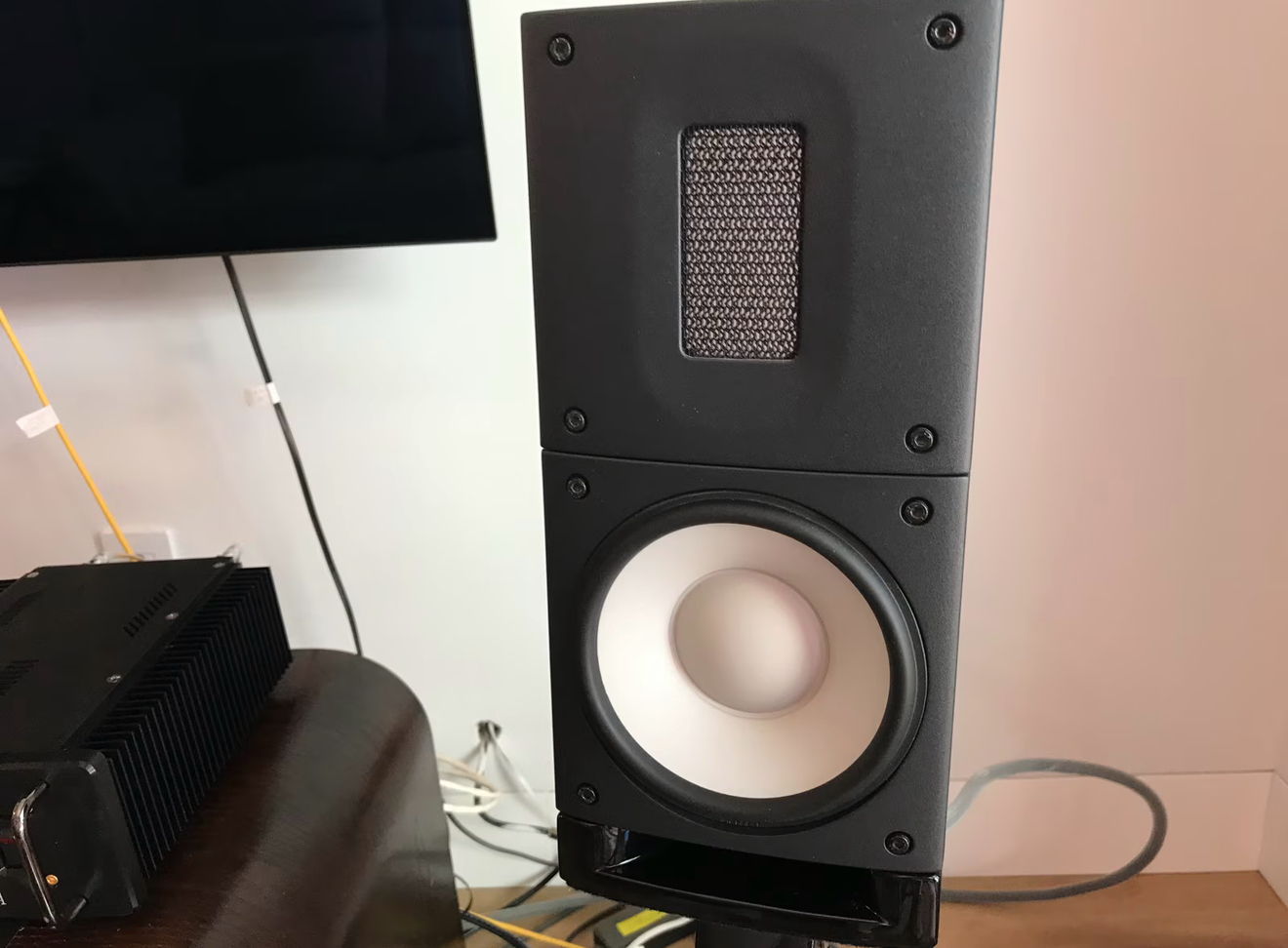Danish Excellence! Raidho Acoustics X-1 (with Stands) 4