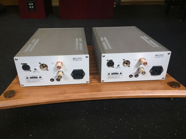 Channel Islands Audio D 200 MKII Class D Monoblocks (Pr...