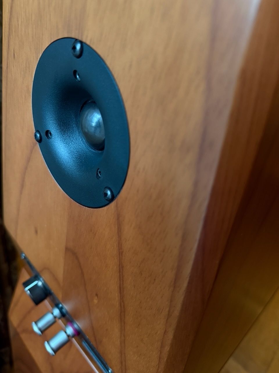 Von Schweikert audio VR4 SR MK speakers. these were the... 7